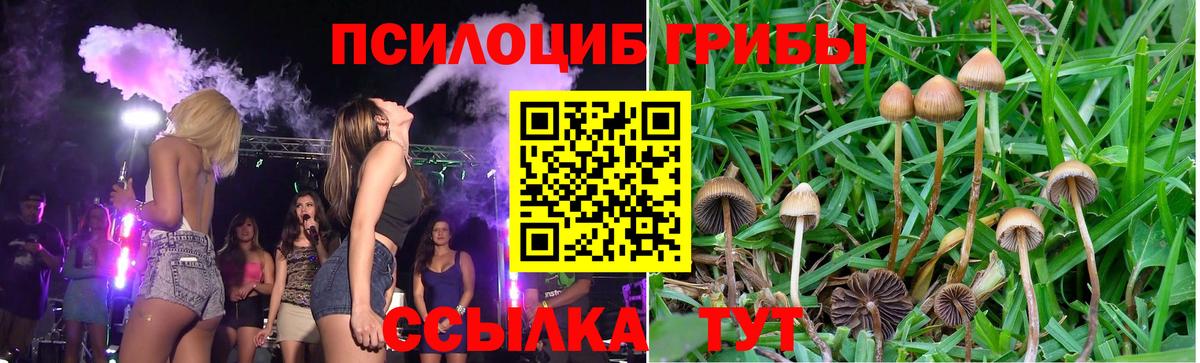 Галлюциногенные грибы прущие грибы Дзержинск